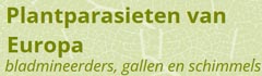 Parasites des plantes